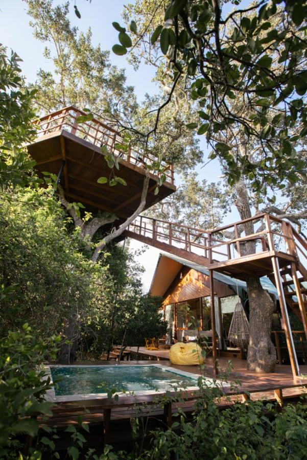 Tribe Yala - Luxury Camping Exterior foto