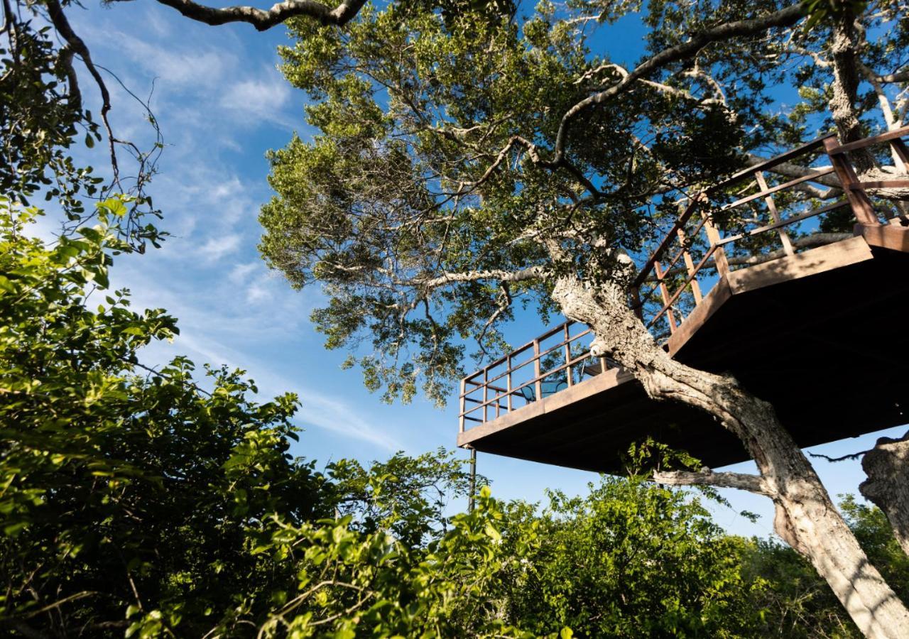 Tribe Yala - Luxury Camping Exterior foto